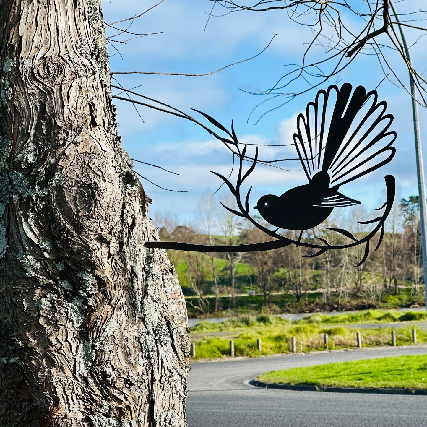 Fantail (Piwakawaka / Tīrairaka)