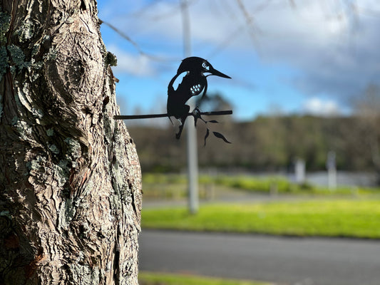 Rustic Kingfisher