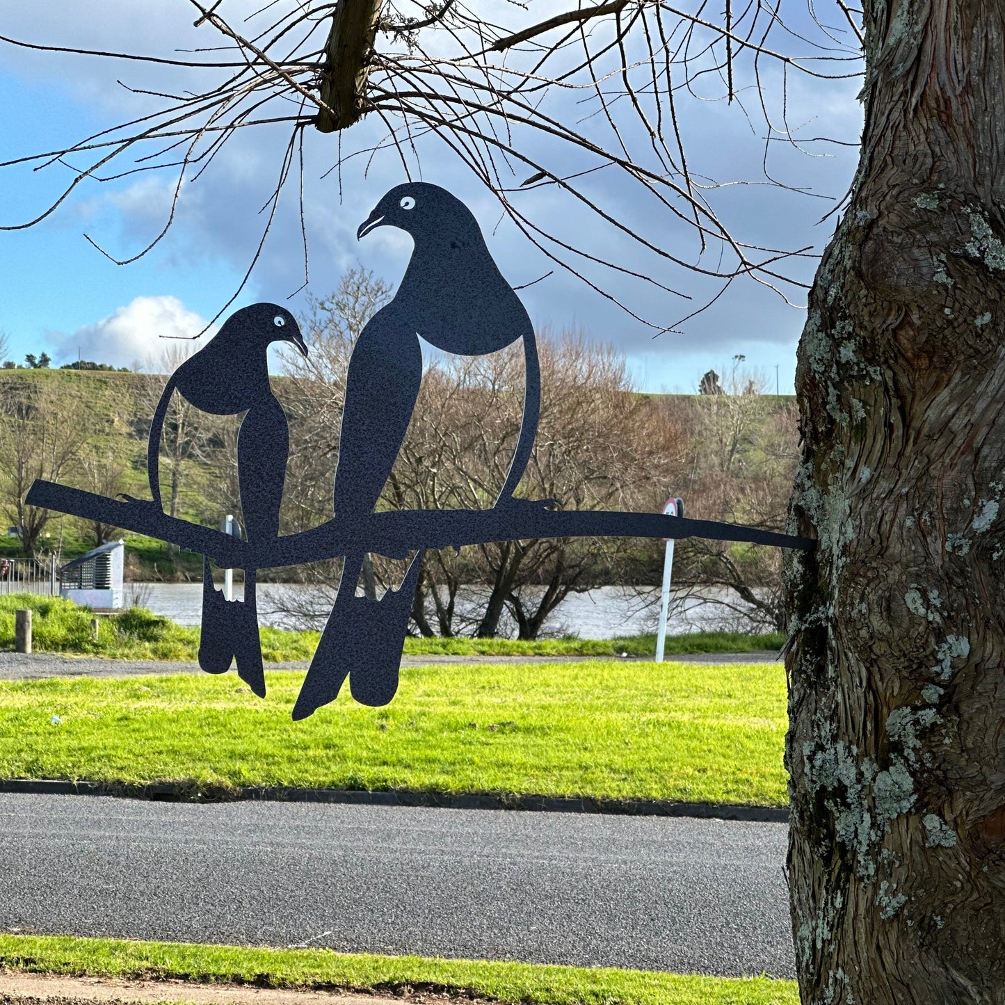 Kererū - Lovebirds